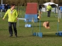 Agility wedstrijd 2016