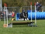Agility wedstrijd 2019
