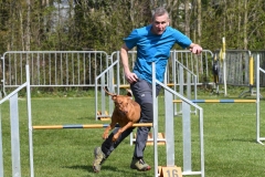 Wedstrijd-Agility-2019-14