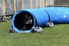 Wedstrijd-Agility-2019-20