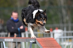 Wedstrijd-Agility-2019-21