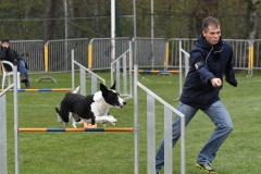 Wedstrijd-Agility-2019-29