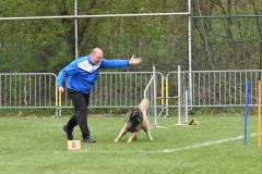 Wedstrijd-Agility-2019-31