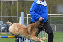 Wedstrijd-Agility-2019-32