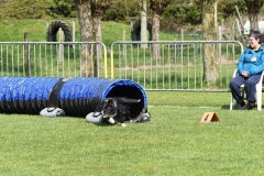 Wedstrijd-Agility-2019-40