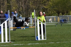 Wedstrijd-Agility-2019-5