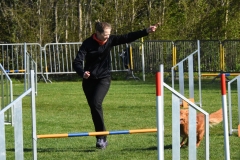 Wedstrijd-Agility-2019-50