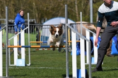 Wedstrijd-Agility-2019-7