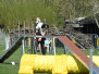Agility wedstrijd 2022