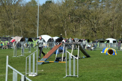 Agility-wedstrijd-15-04-2023-10