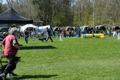 Agility-wedstrijd-15-04-2023-13