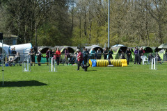 Agility-wedstrijd-15-04-2023-14