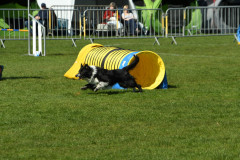 Agility-wedstrijd-15-04-2023-15