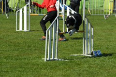 Agility-wedstrijd-15-04-2023-16