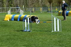 Agility-wedstrijd-15-04-2023-17