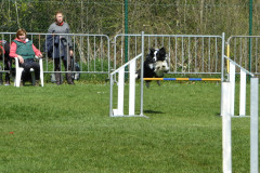 Agility-wedstrijd-15-04-2023-18