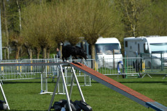 Agility-wedstrijd-15-04-2023-3