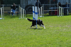 Agility-wedstrijd-15-04-2023-6