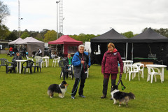 BHV-Agility-wedstrijd-20-04-24-13