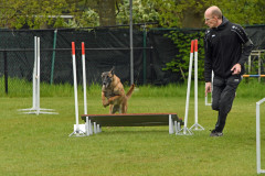 BHV-Agility-wedstrijd-20-04-24-19