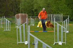 BHV-Agility-wedstrijd-20-04-24-2