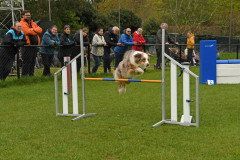 BHV-Agility-wedstrijd-20-04-24-23