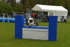 BHV-Agility-wedstrijd-20-04-24-24