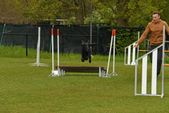 BHV-Agility-wedstrijd-20-04-24-27