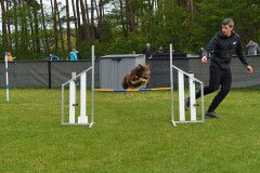 BHV-Agility-wedstrijd-20-04-24-30