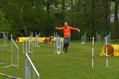 BHV-Agility-wedstrijd-20-04-24-32