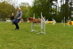 BHV-Agility-wedstrijd-20-04-24-33