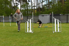 BHV-Agility-wedstrijd-20-04-24-34