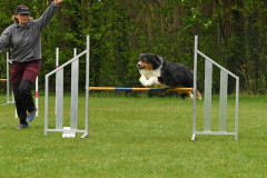 BHV-Agility-wedstrijd-20-04-24-35