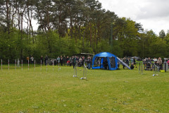 BHV-Agility-wedstrijd-20-04-24-6