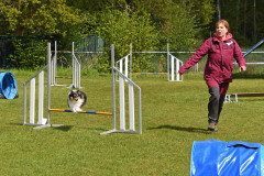 BHV-Agility-wedstrijd-20-04-24-8