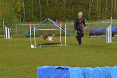 BHV-Agility-wedstrijd-20-04-24-9