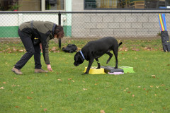 BHV-Workshop-Body-Balance-6-12-25-12