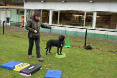 BHV-Workshop-Body-Balance-6-12-25-19