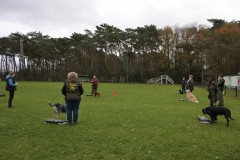 BHV-Workshop-Body-Balance-6-12-25-2