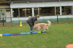 BHV-Workshop-Body-Balance-6-12-25-26