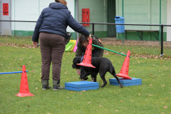 BHV-Workshop-Body-Balance-6-12-25-31