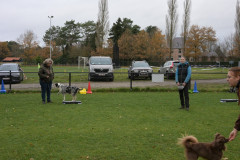 BHV-Workshop-Body-Balance-6-12-25-5