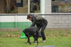 BHV-Workshop-Body-Balance-6-12-25-7