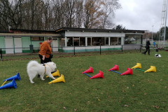 WhatsApp-Image-2025-12-06-at-18.19.08