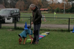 WhatsApp-Image-2025-12-06-at-18.19.10-2