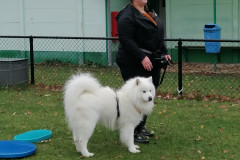 WhatsApp-Image-2025-12-06-at-18.19.11-1