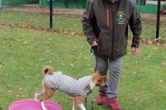 WhatsApp-Image-2025-12-06-at-18.19.11-4