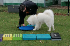 WhatsApp-Image-2025-12-06-at-18.19.11