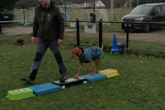 WhatsApp-Image-2025-12-06-at-18.19.12-1