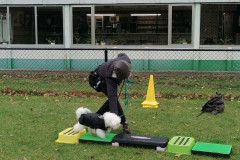 WhatsApp-Image-2025-12-06-at-18.19.13